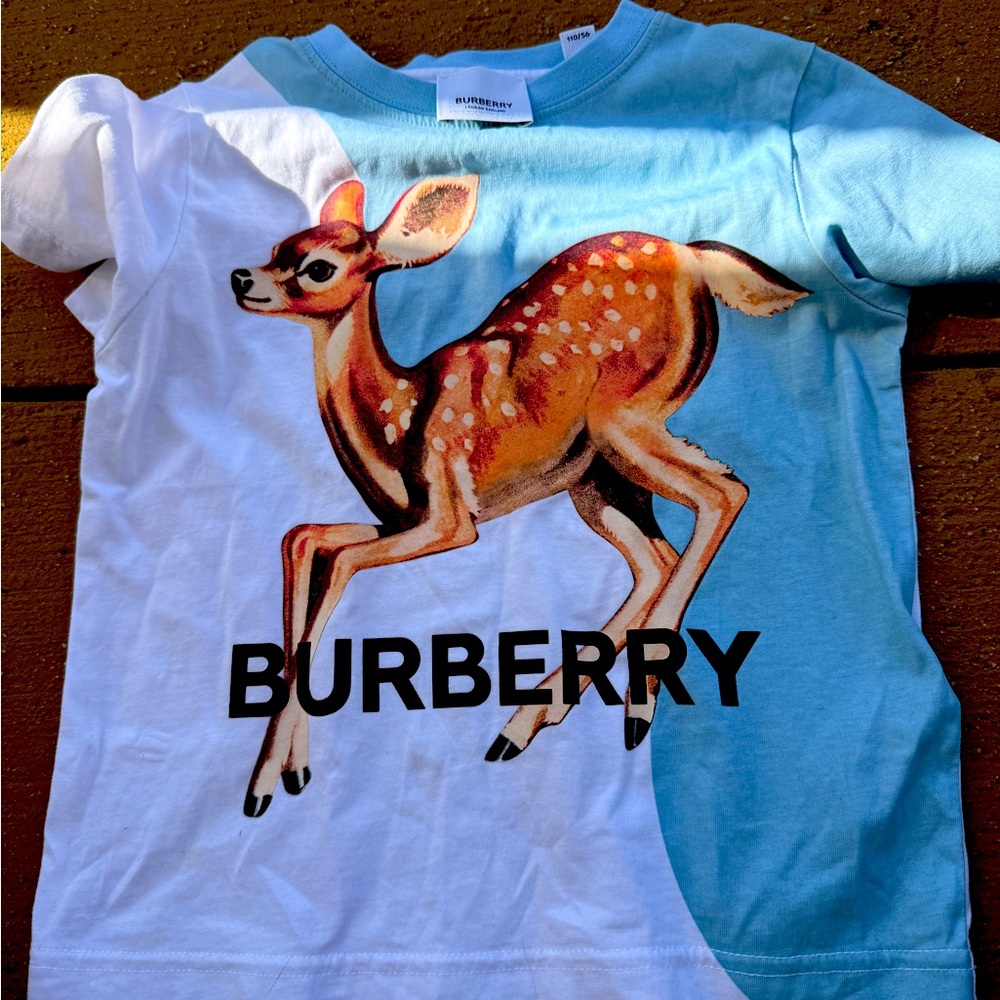 Burberry kids tshirt -used once